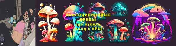 сатива Волосово
