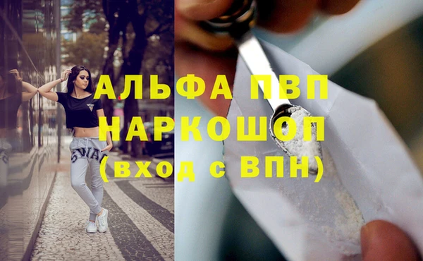 сатива Волосово