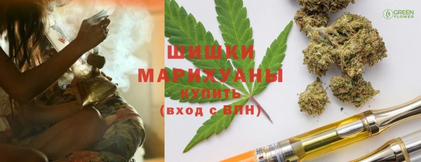сатива Волосово