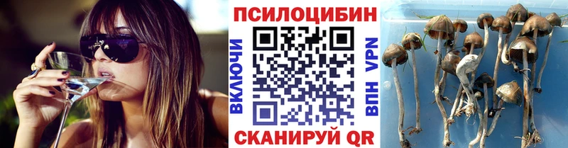 Галлюциногенные грибы ЛСД  Камбарка 